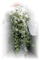 our florist/designer made this cascade wedding bouquet of orchids, lilies, roses, stephanotis, sweet peas, and freesia.