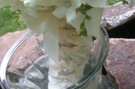 bridal bouquet detail of handle the florist designed for our bride.