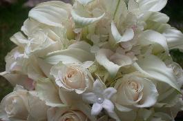 Clutch wedding bouquet of shades of white Columbian Roses, mini white Calla Lilies, and white Stephanodis that her great florist , or wedding planner designed.