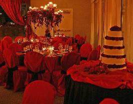 hundreds of open roses of red, burgunds and black magic