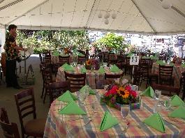 Many brightly colored flowers arranged by our florists!